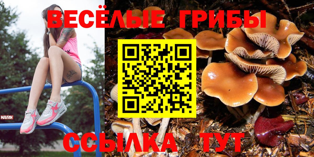 Галлюциногенные грибы Psilocybe  Вход с VPN  Улан-Удэ 