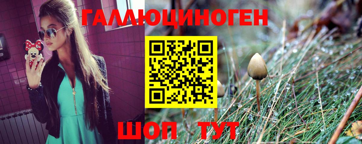 Галлюциногенные грибы GOLDEN TEACHER Улан-Удэ